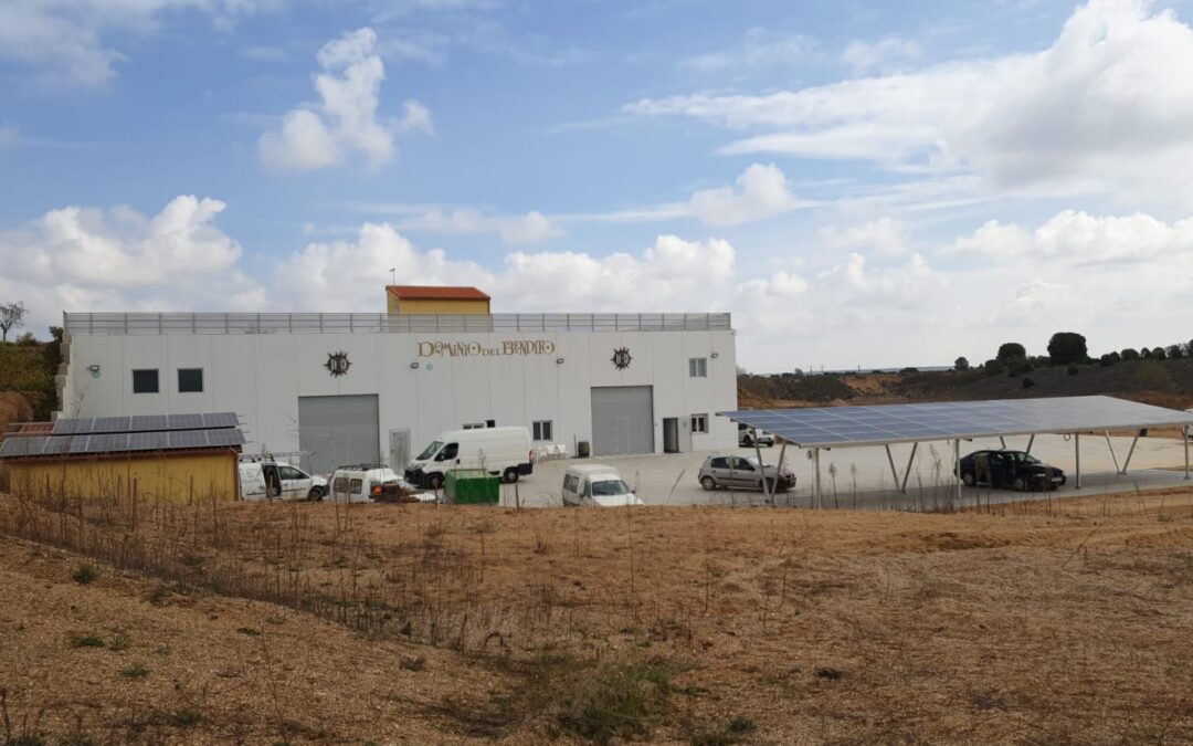 Proyecto fotovoltaico en bodega